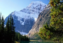 现在的 AI 智能体真的好用吗？深入解析与展望